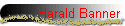 Harald Banner