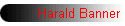 Harald Banner